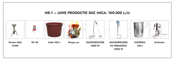 Linie productie suc mica Nr.1 - 100-300 L/zi