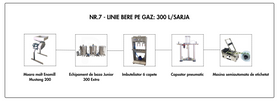 LINIE PRODUCTIE BERE NR.7 GAZ 300L/SARJA (18.975 Euro + TVA)
