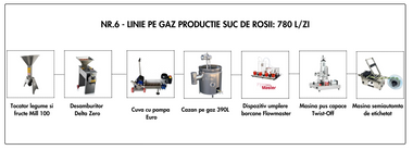 Linie Suc Rosii nr. 6 pe gaz 780L/zi (18.025 Euro + TVA)