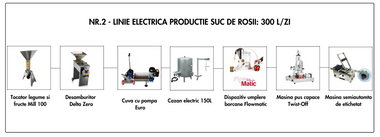 Linie Suc Rosii nr. 2 electrica 300L/zi (12.550 Euro + TVA)
