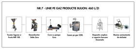 Linie Bulion nr. 7 pe gaz 460L/zi (26.675 Euro + TVA)