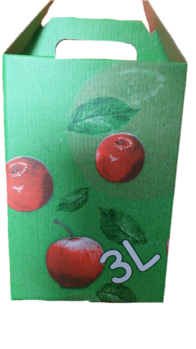 Bag-in-Box 3l box printed color
