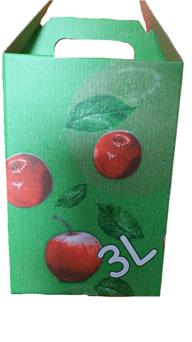 Bag-in-Box 3l box printed color
