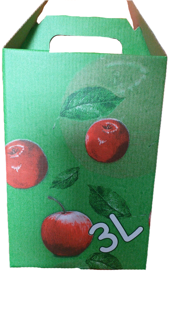 Cutie bag-in-box 3L imprimata color