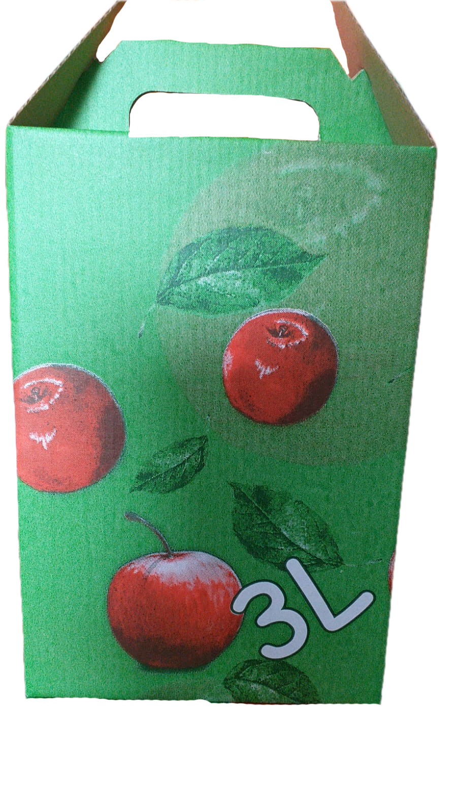 Cutie bag-in-box 3L imprimata color