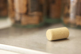 Pluta Agglometed / Camanh