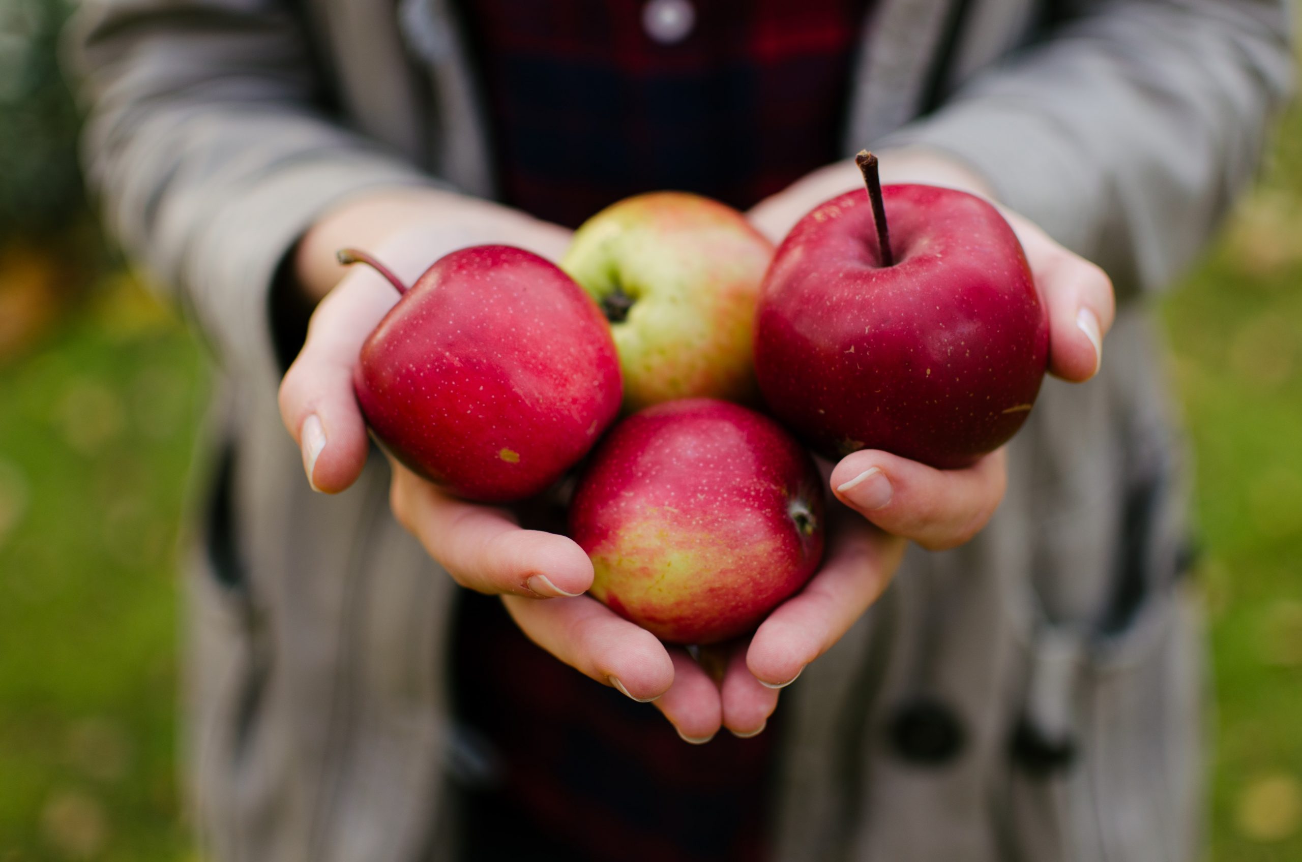 Дізнайтесь у Сергія та Анісії, чому варто переробляти фрукти